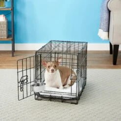 Frisco Stainless Steel Kennel Bowl Dog & Cat Bowl 6 Frisco Stainless Steel Kennel Bowl Dog & Cat Bowl -Frisco Sales Store 159871 PT3. AC SS1800 V1570543067