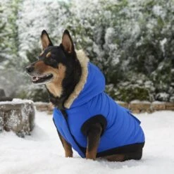 Frisco Heavyweight Anchorage Insulated Dog & Cat Parka -Frisco Sales Store 160250 PT7. AC SS1800 V1567011259