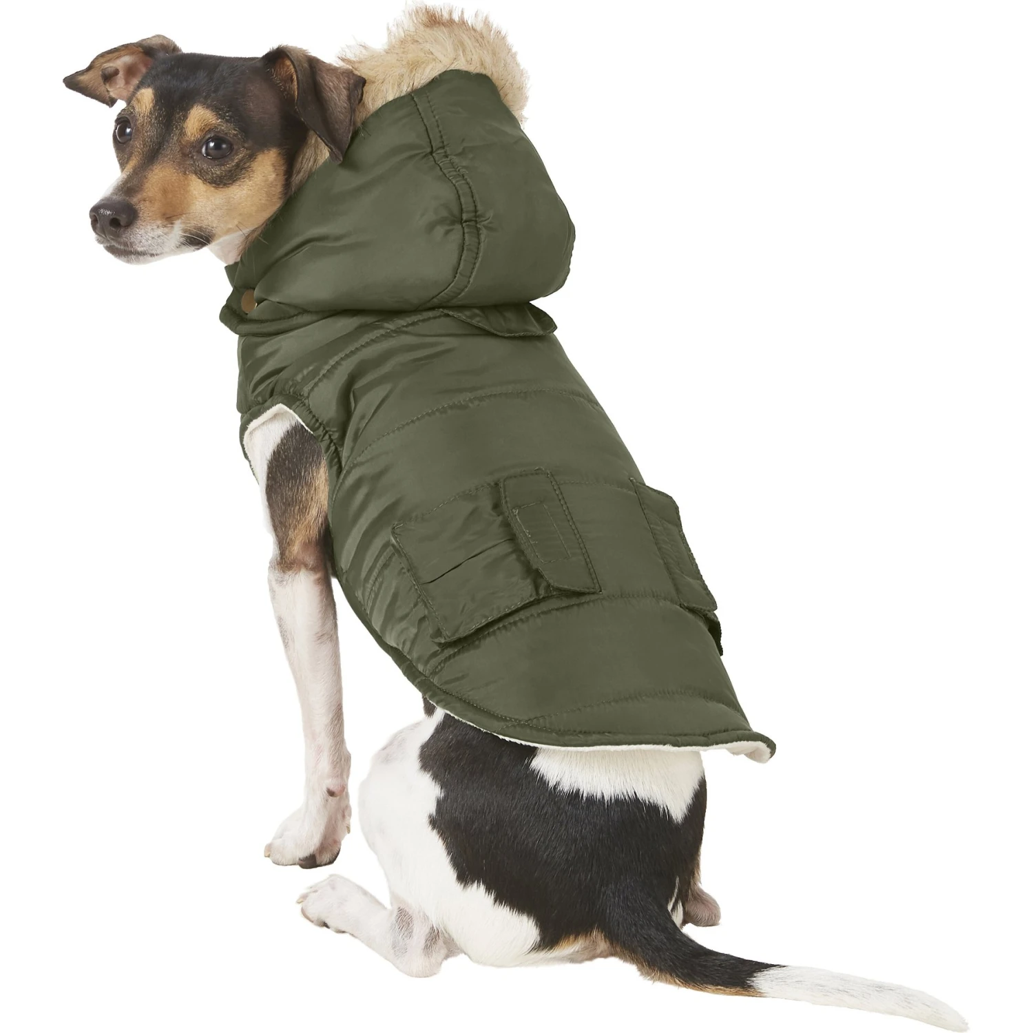 Frisco Mid-Heavyweight Portland Insulated Dog & Cat Parka 1 Frisco Mid-Heavyweight Portland Insulated Dog & Cat Parka