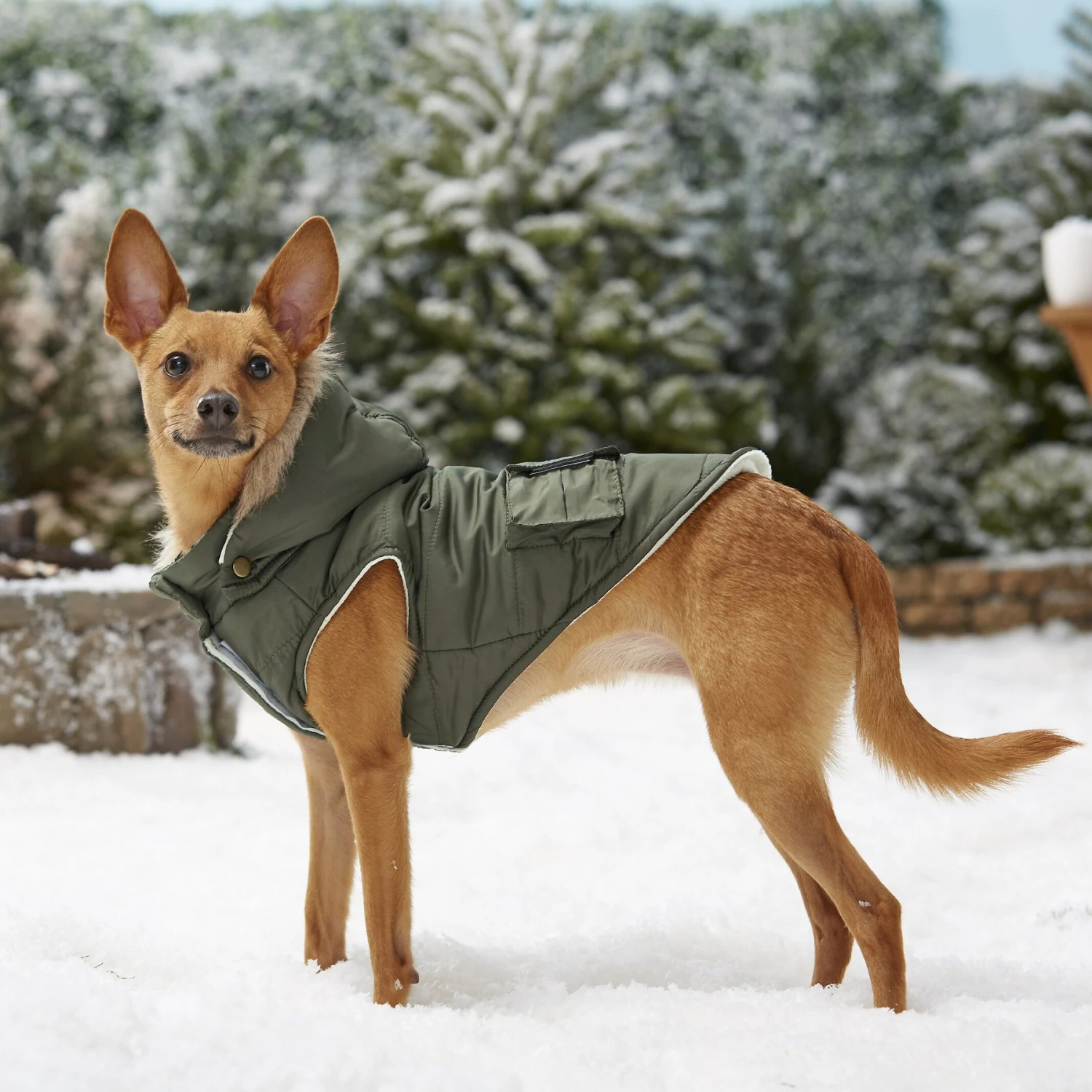 Frisco Mid-Heavyweight Portland Insulated Dog & Cat Parka 8 Frisco Mid-Heavyweight Portland Insulated Dog & Cat Parka - Image 8