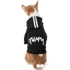 Frisco Püppy Dog Athletic Hoodie -Frisco Sales Store 160342 PT2. AC SS1800 V1637689590