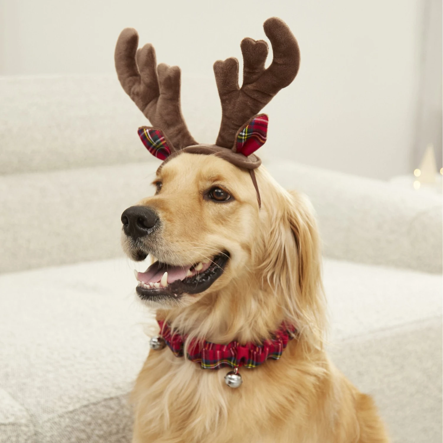 Frisco Holiday Antler Headband & Bell Collar Dog & Cat Costume 4 Frisco Holiday Antler Headband & Bell Collar Dog & Cat Costume - Image 4