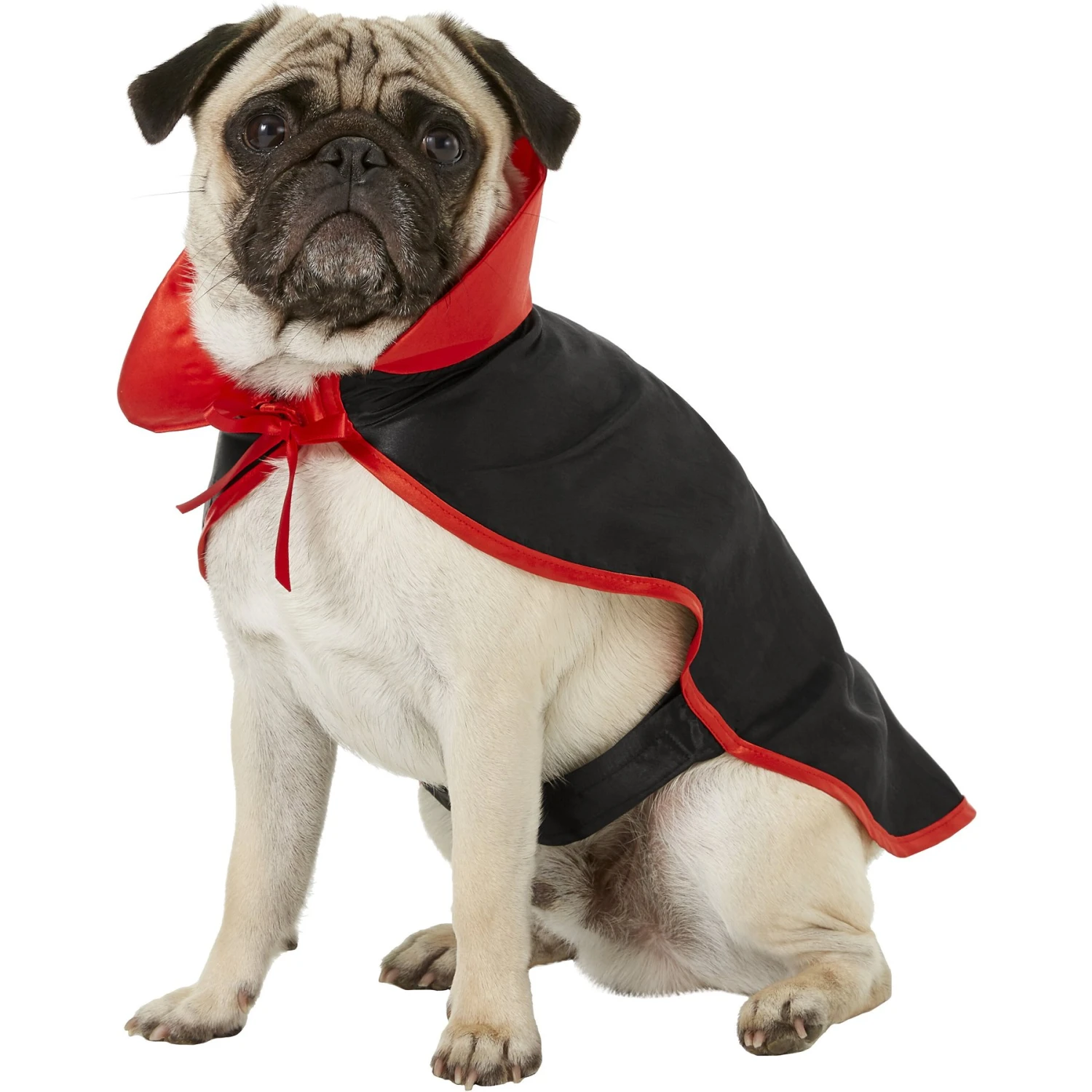 Frisco Vampire Cape Dog & Cat Costume 1 Frisco Vampire Cape Dog & Cat Costume