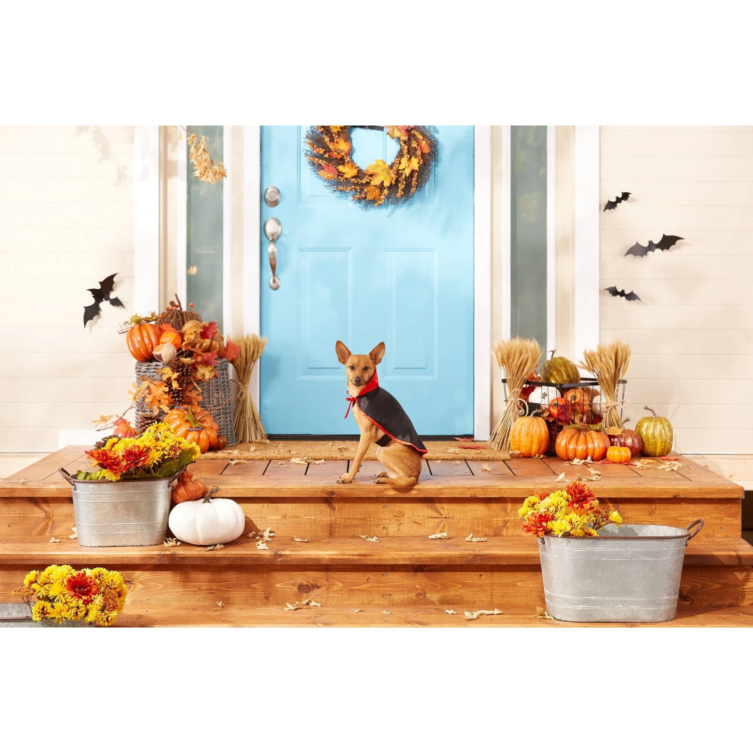 Frisco Vampire Cape Dog & Cat Costume 3 Frisco Vampire Cape Dog & Cat Costume - Image 3