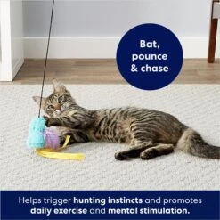 Frisco Bird With Feathers Teaser Wand Cat Toy With Catnip -Frisco Sales Store 161199 PT2. AC SS1800 V1678723897