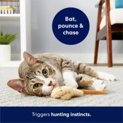 Frisco Skinny Mouse Plush Cat Toy With Catnip 8 Frisco Skinny Mouse Plush Cat Toy With Catnip -Frisco Sales Store 161268 PT5. AC SS1800 V1686578718