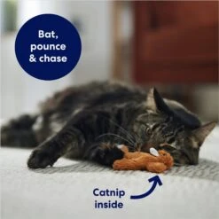 Frisco Squirrel Plush Cat Toy With Refillable Catnip -Frisco Sales Store 161271 PT3. AC SS1800 V1678723897