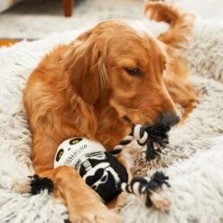 Frisco Halloween Skeleton Plush With Rope Squeaky Dog Toy 7 Frisco Halloween Skeleton Plush With Rope Squeaky Dog Toy -Frisco Sales Store 161358 PT6. AC SS1800 V1597599370