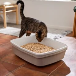 Frisco Pine Pellet Unscented Non-Clumping Wood Cat Litter -Frisco Sales Store 161458 PT4. AC SS1800 V1659023182