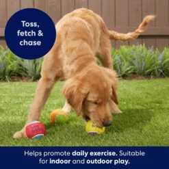 Frisco Birthday Fetch Squeaky Tennis Ball Dog Toy 10 Frisco Birthday Fetch Squeaky Tennis Ball Dog Toy -Frisco Sales Store 162914 PT3. AC SS1800 V1692019914