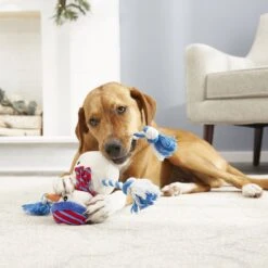 Frisco Holiday Snowman Plush With Rope Squeaky Dog Toy 7 Frisco Holiday Snowman Plush With Rope Squeaky Dog Toy -Frisco Sales Store 164645 PT2. AC SS1800 V1568910233