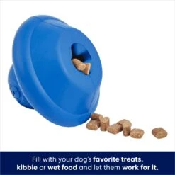 Frisco Flying Saucer Rubber Treat Dispenser Dog Toy -Frisco Sales Store 164757 PT3. AC SS1800 V1686579570
