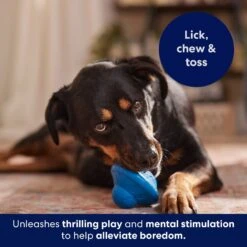 Frisco Flying Saucer Rubber Treat Dispenser Dog Toy -Frisco Sales Store 164757 PT5. AC SS1800 V1691784247