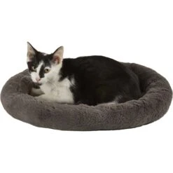 Frisco Self Warming Bolster Round Kitten Bed -Frisco Sales Store 165315 PT2. AC SS1800 V1568211141