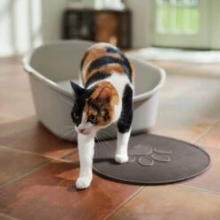 Frisco Shaped Cat Litter Mat 6 Frisco Shaped Cat Litter Mat -Frisco Sales Store 166306 PT3. AC SS1800 V1675279990