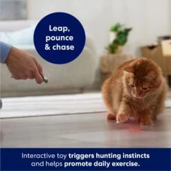 Frisco 2-in-1 Laser & LED Light Laser Cat Toy -Frisco Sales Store 166309 PT3. AC SS1800 V1686579688