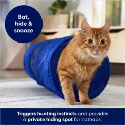 Frisco Foldable Play Tunnel With Mesh Cat Toy -Frisco Sales Store 166385 PT2. AC SS1800 V1686580143