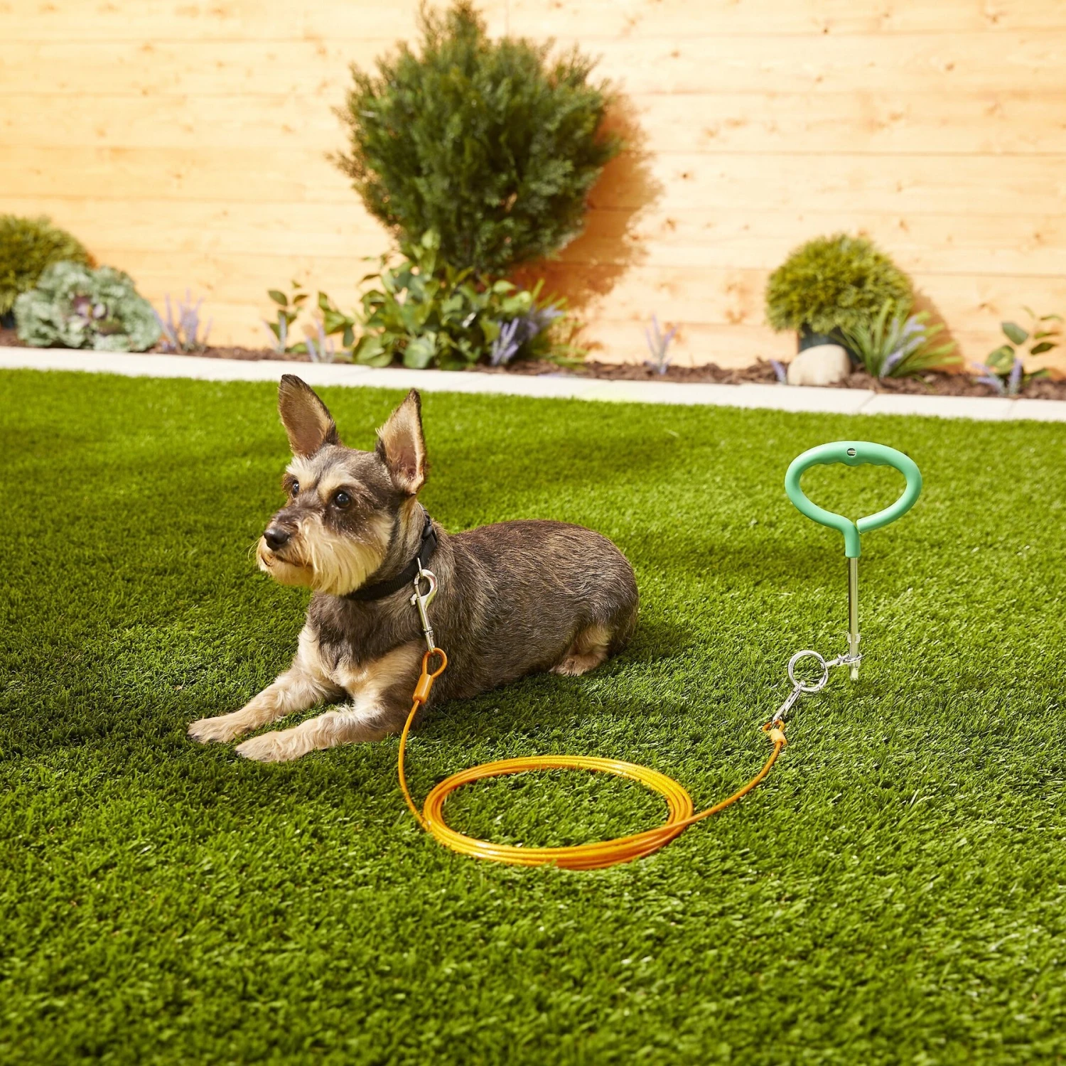 Frisco Tie Out Cable, Medium 2 Frisco Tie Out Cable, Medium - Image 2