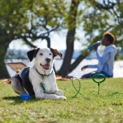 Frisco Easy Grip Stake With Tie Out Cable, Large -Frisco Sales Store 166447 PT5. AC SS1800 V1701796826