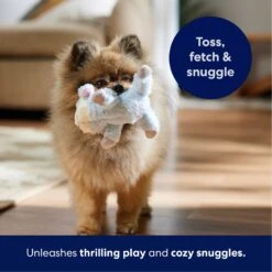 Frisco Lamb Plush Squeaky Dog Toy 10 Frisco Lamb Plush Squeaky Dog Toy -Frisco Sales Store 174686 PT4. AC SS1800 V1695659156