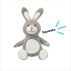 Frisco Bunny Textured Plush Squeaky Dog Toy -Frisco Sales Store 174693 PT2. AC SS1800 V1695670750