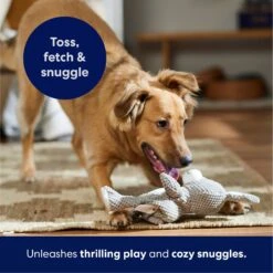 Frisco Bunny Textured Plush Squeaky Dog Toy -Frisco Sales Store 174693 PT4. AC SS1800 V1695671088