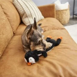 Frisco Penguin Skinny Plush Squeaky Dog Toy -Frisco Sales Store 174707 PT2. AC SS1800 V1573492672