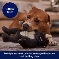 Frisco Rhino Muscle Plush Squeaky Dog Toy -Frisco Sales Store 174719 PT5. AC SS1800 V1694182068