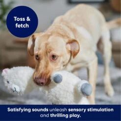 Frisco Llama Bobberz Plush Squeaky Dog Toy 10 Frisco Llama Bobberz Plush Squeaky Dog Toy -Frisco Sales Store 174741 PT4. AC SS1800 V1695671063