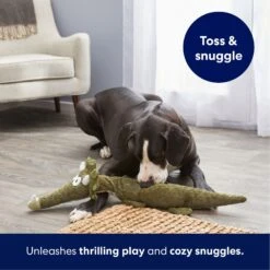 Frisco Triceratops Wagazoo Plush Squeaky Dog Toy 10 Frisco Triceratops Wagazoo Plush Squeaky Dog Toy -Frisco Sales Store 174747 PT4. AC SS1800 V1695748419