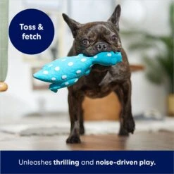 Frisco Dinosaur Latex Squeaky Dog Toy -Frisco Sales Store 174770 PT3. AC SS1800 V1686579138