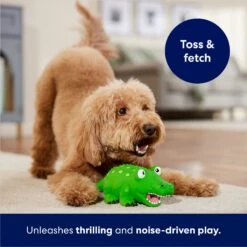 Frisco Alligator Latex Squeaky Dog Toy 8 Frisco Alligator Latex Squeaky Dog Toy -Frisco Sales Store 174772 PT3. AC SS1800 V1686579212