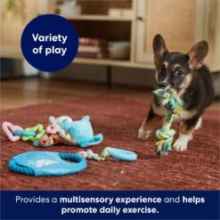 Frisco Little Friends Plush, Flyer & TPR Variety Pack Dog Toy -Frisco Sales Store 177816 PT5. AC SS1800 V1691783909