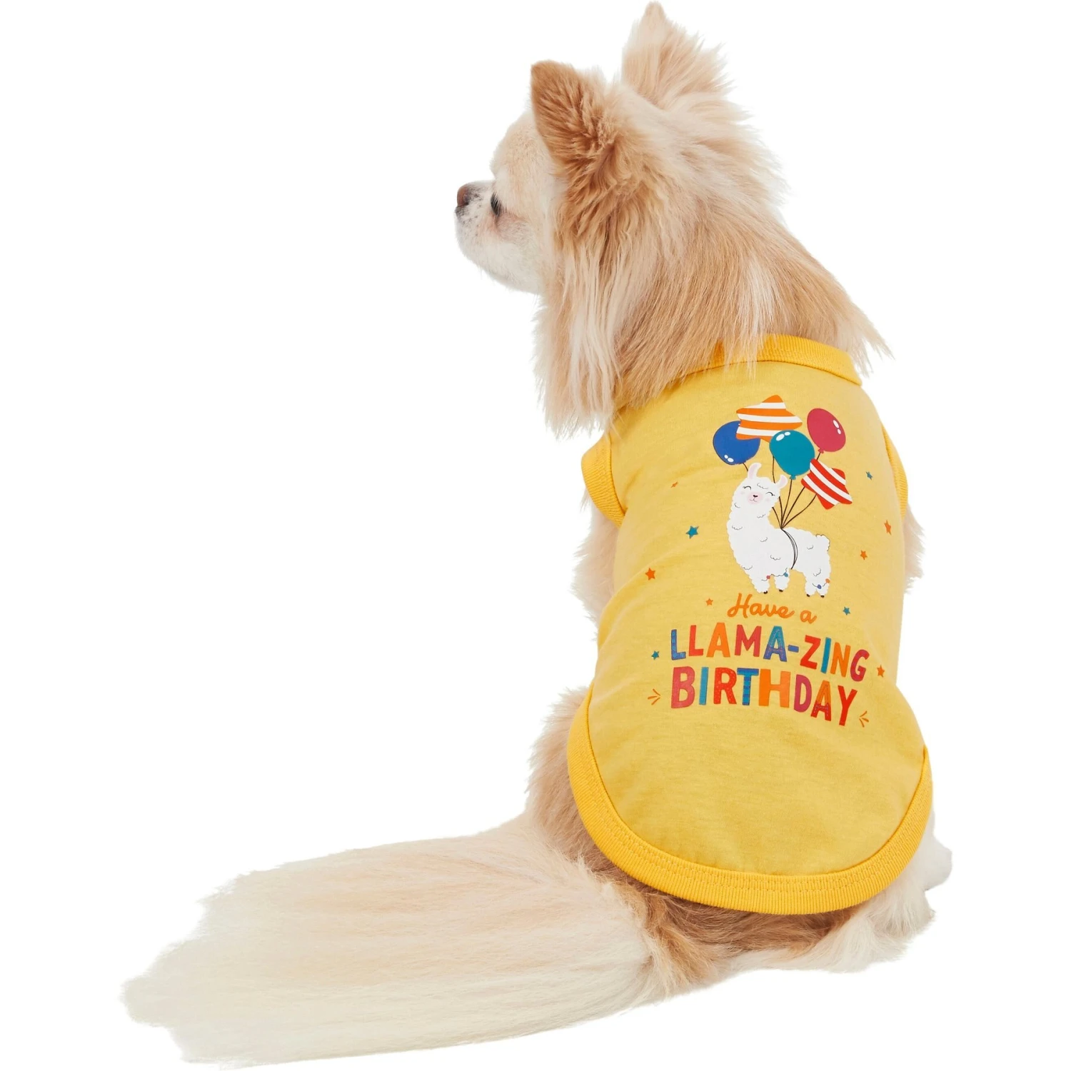 Frisco Llama-zing Birthday Dog & Cat T-Shirt 1 Frisco Llama-zing Birthday Dog & Cat T-Shirt