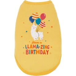 Frisco Llama-zing Birthday Dog & Cat T-Shirt 7 Frisco Llama-zing Birthday Dog & Cat T-Shirt -Frisco Sales Store 191240 PT2. AC SS1800 V1582053523
