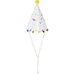Frisco Confetti Dog & Cat Birthday Hat -Frisco Sales Store 191274 PT4. AC SS1800 V1582053256