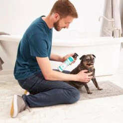 Frisco Aloe Hydrating Dog & Cat Spray, Sweet Nectar Scent 6 Frisco Aloe Hydrating Dog & Cat Spray, Sweet Nectar Scent -Frisco Sales Store 192084 PT3. AC SS1800 V1585321073