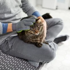 Frisco Dog & Cat Grooming Glove, Right Hand -Frisco Sales Store 206845 PT6. AC SS1800 V1610762805