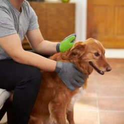 Frisco Dog & Cat Adjustable Grooming Gloves -Frisco Sales Store 206847 PT5. AC SS1800 V1610763673