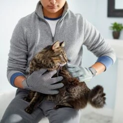 Frisco Dog & Cat Adjustable Grooming Gloves -Frisco Sales Store 206847 PT6. AC SS1800 V1610768190