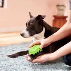 Frisco Bone Dog Curry Brush -Frisco Sales Store 206851 PT4. AC SS1800 V1680186155