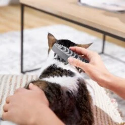 Frisco Cat Curry Brush -Frisco Sales Store 206853 PT6. AC SS1800 V1680186158