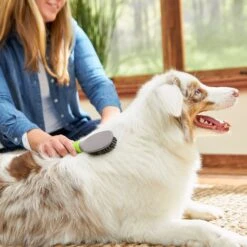 Frisco Cat & Dog Bristle Brush 6 Frisco Cat & Dog Bristle Brush -Frisco Sales Store 206859 PT5. AC SS1800 V1680186099