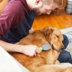 Frisco Cat & Dog Pin Brush -Frisco Sales Store 206861 PT6. AC SS1800 V1680186099