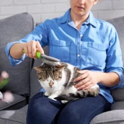 Frisco Cat & Dog Pin Brush -Frisco Sales Store 206861 PT7. AC SS1800 V1680186386