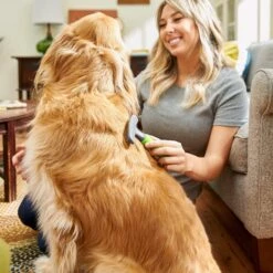 Frisco Shedding Rake Dog & Cat Brush -Frisco Sales Store 206871 PT6. AC SS1800 V1680186390