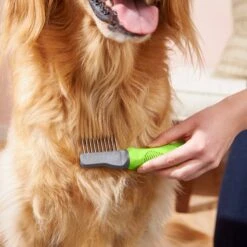 Frisco Dematting Dog Rake, One Size -Frisco Sales Store 206873 PT6. AC SS1800 V1680186104