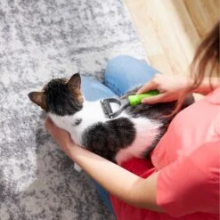 Frisco Dematting Double-Sided Dog & Cat Rake -Frisco Sales Store 206875 PT7. AC SS1800 V1680186159