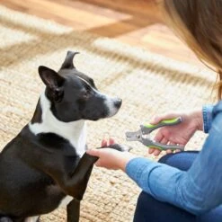 Frisco Dog Nail Trimmer 6 Frisco Dog Nail Trimmer -Frisco Sales Store 206877 PT4. AC SS1800 V1680186157