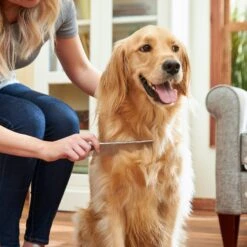 Frisco Metal Dog & Cat Comb 7 Frisco Metal Dog & Cat Comb -Frisco Sales Store 206882 PT6. AC SS1800 V1680186160